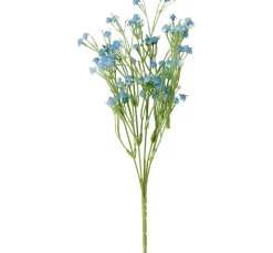 ohne Marke Acker-Witwenblume
