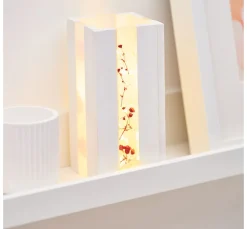 Online ohne Marke Acrylklötzchen, 22 x 8 x 160 mm