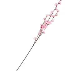New DPI Apfelblüten Zweig