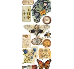 Online Ciao Bella Art Stickers "Cabinet of Curiosities"