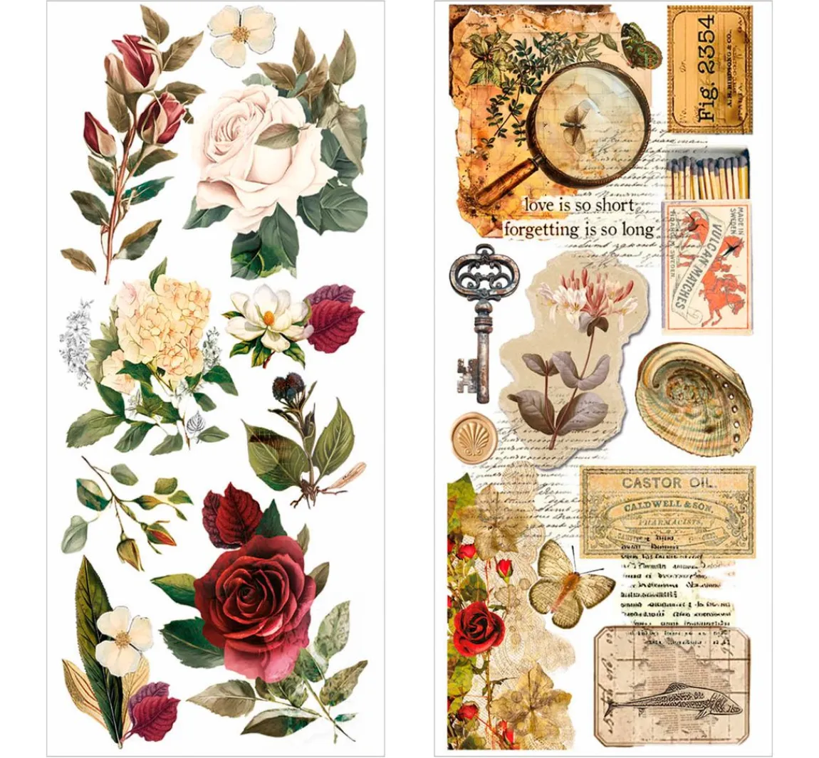 Online Ciao Bella Art Stickers "Cabinet of Curiosities"