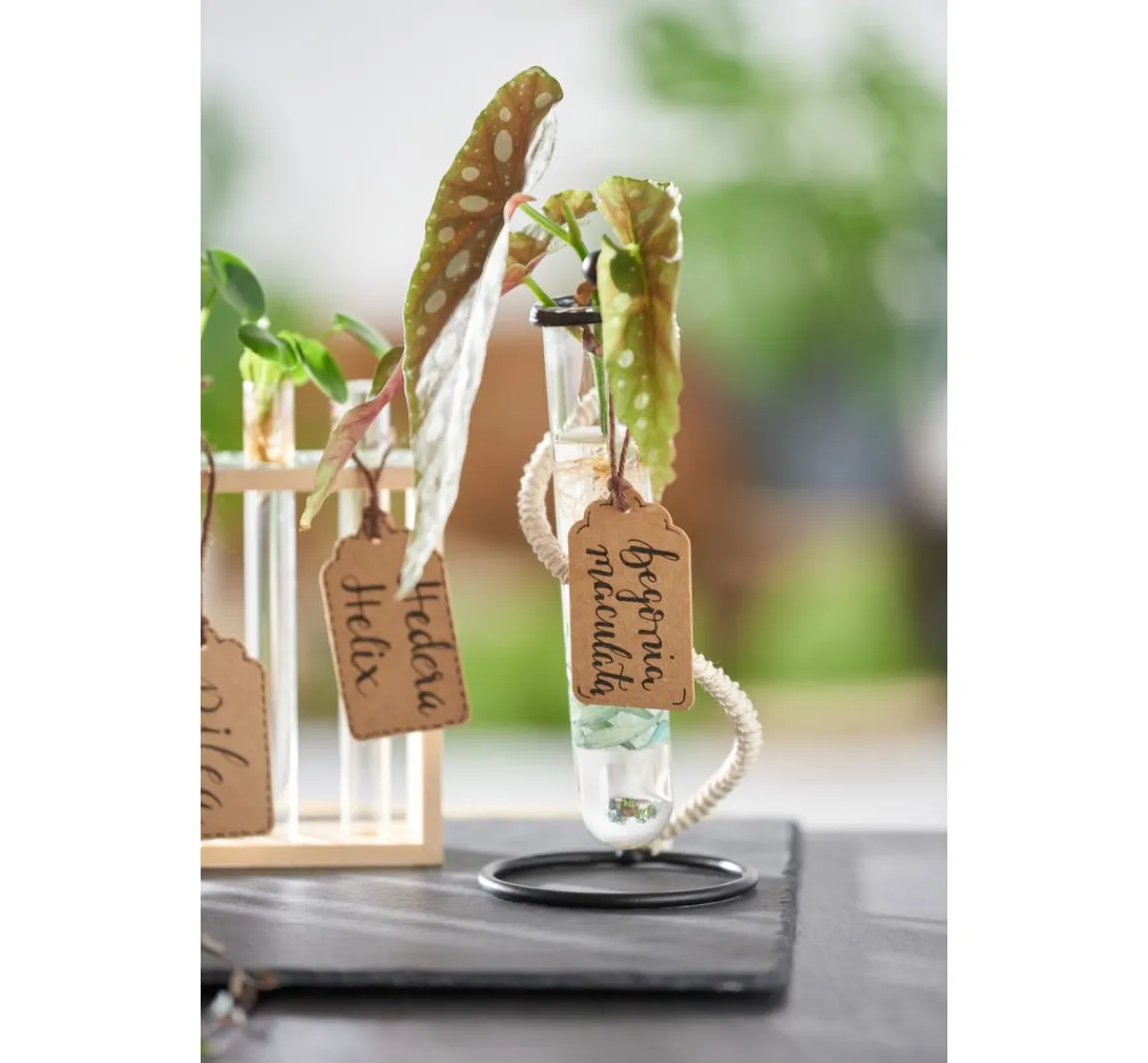 Discount creativ company Bambuskordel