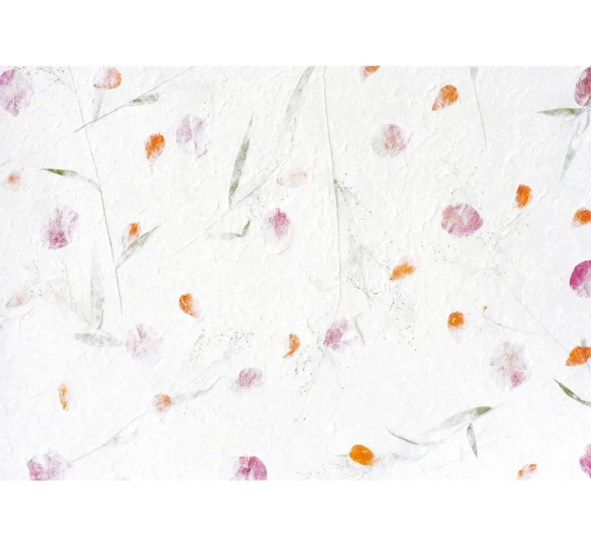 Clearance CREARTEC Baumwollcellulose, superfein