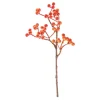 Outlet DPI Beeren Pick, Orange