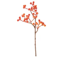Outlet DPI Beeren Pick, Orange