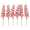 DPI Beeren-Picks