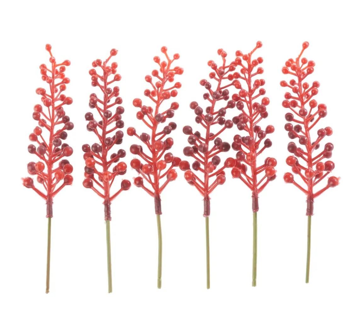 DPI Beeren-Picks