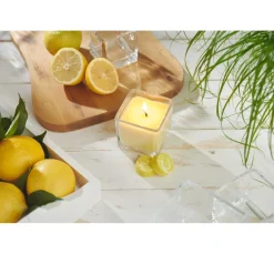 Sale Stellwag creative Bio-Wachs auf Pflanzenbasis