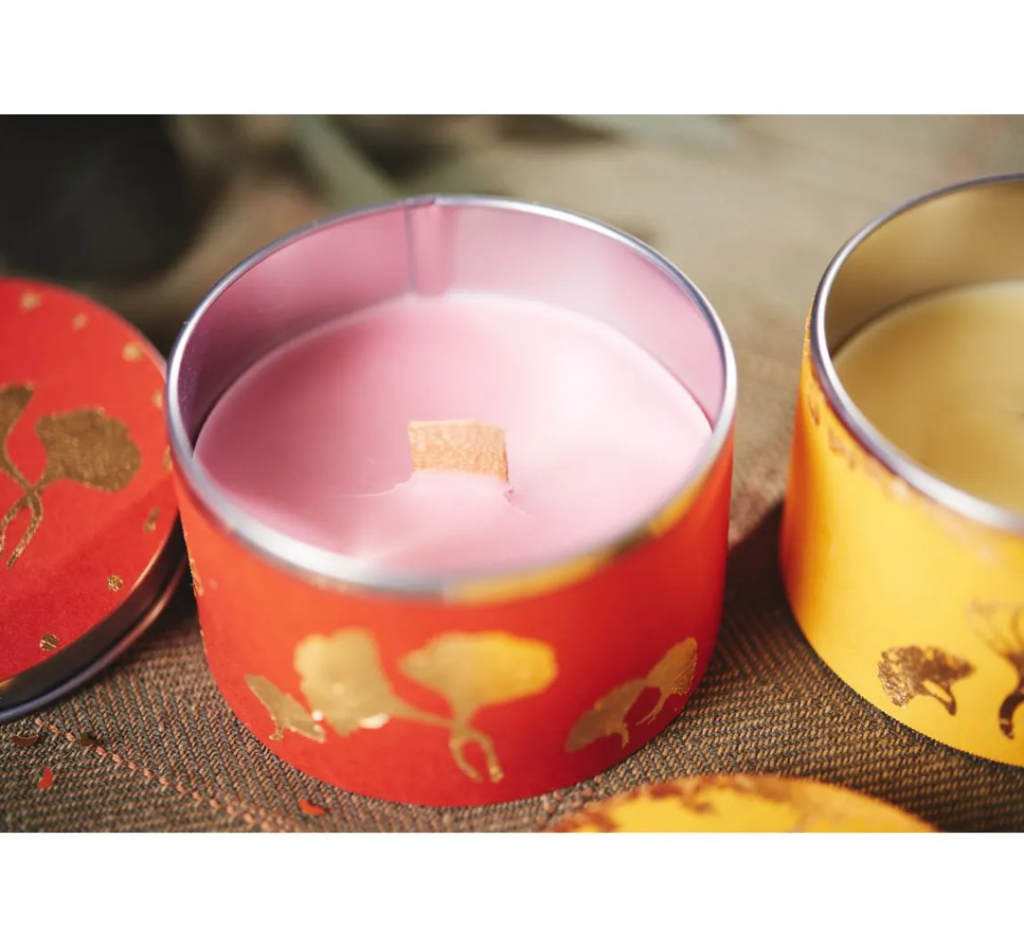 Sale Stellwag creative Bio-Wachs auf Pflanzenbasis