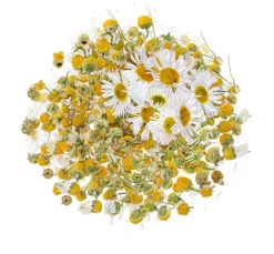 Hot GLOREX Blüten, getrocknet