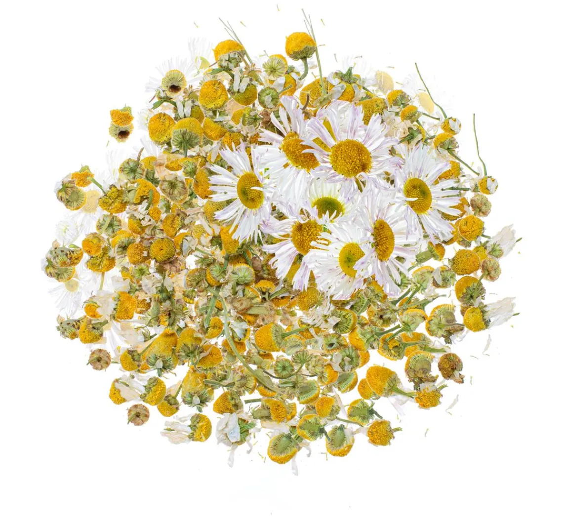 Hot GLOREX Blüten, getrocknet