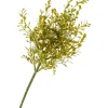 Best DPI Blüten-Pick mit Grün