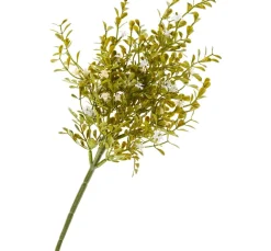 Best DPI Blüten-Pick mit Grün