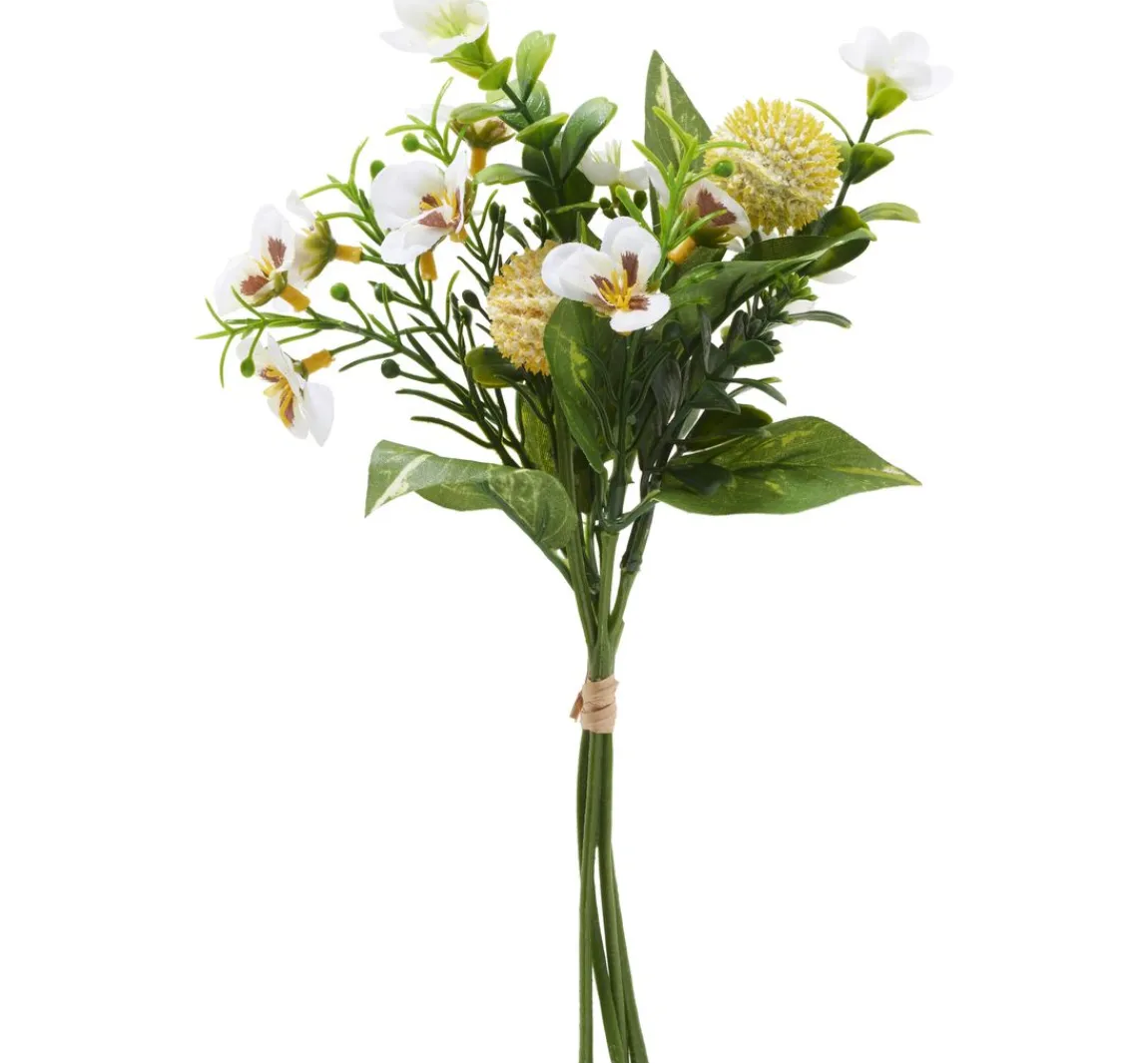 DPI Blumenbund "Viola"