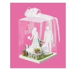 Hot HobbyFun Box für Geld- und Gutscheingeschenke, Transparent
