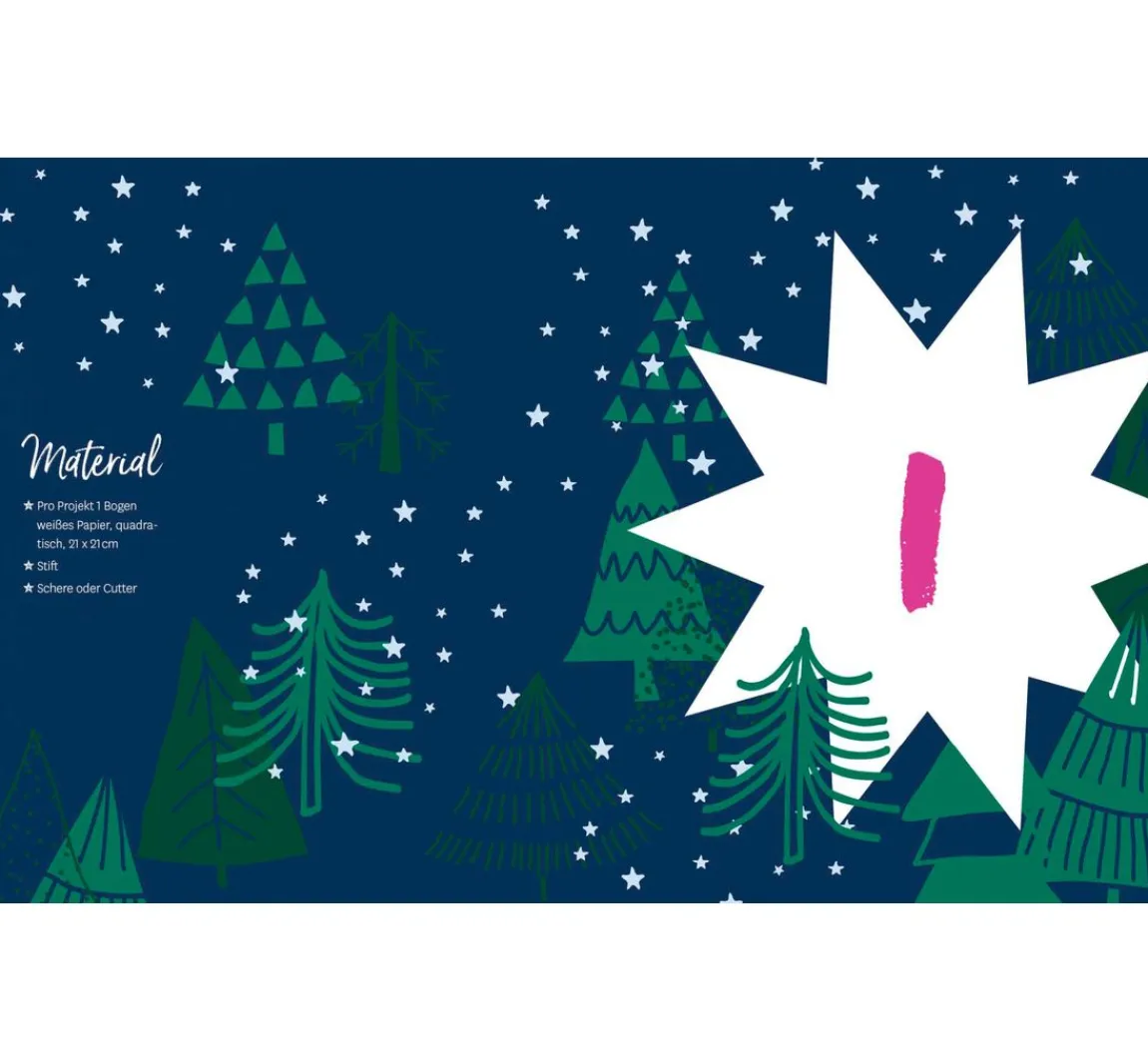 Sale EMF Buch "Adventskalender Weihnachtssterne"