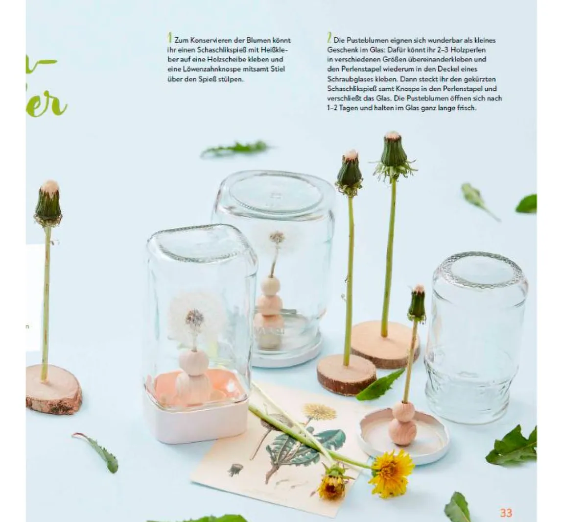 Discount Topp Buch "Das große Familien-Natur-Bastelbuch"