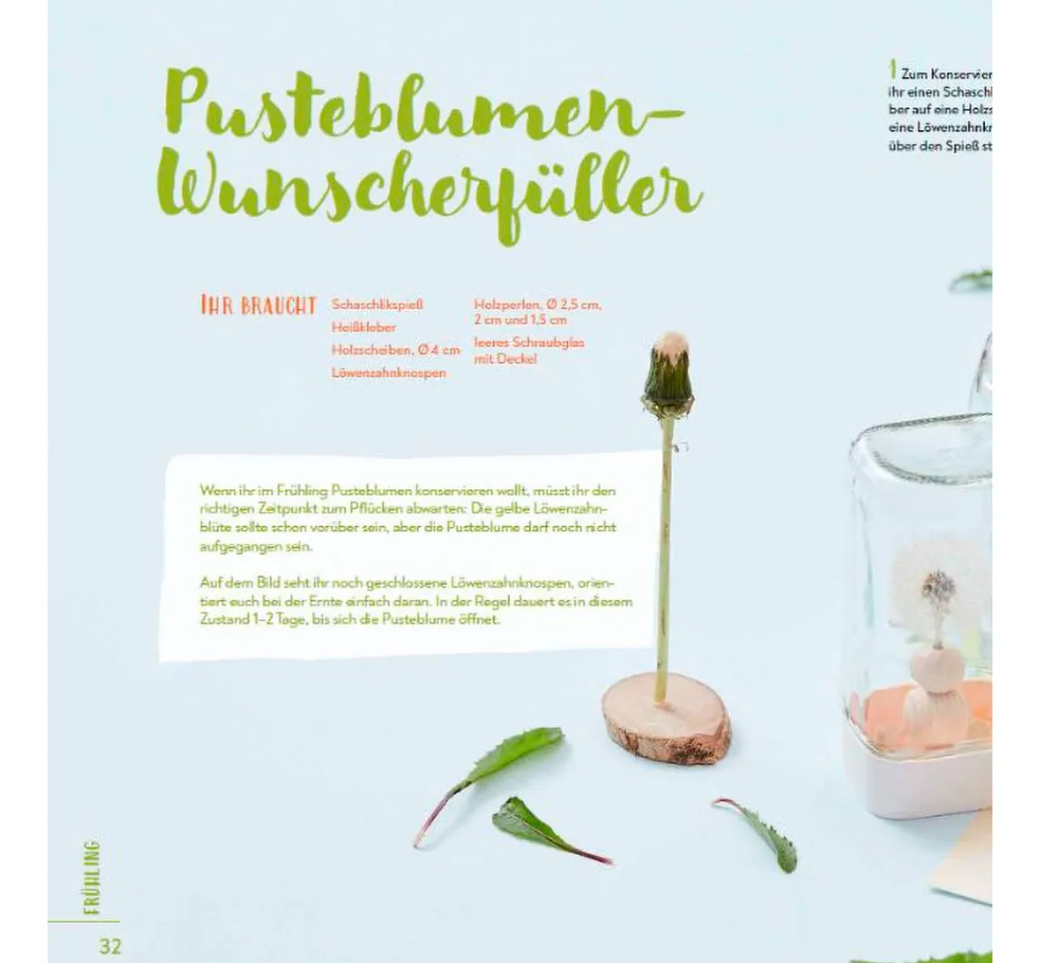 Discount Topp Buch "Das große Familien-Natur-Bastelbuch"