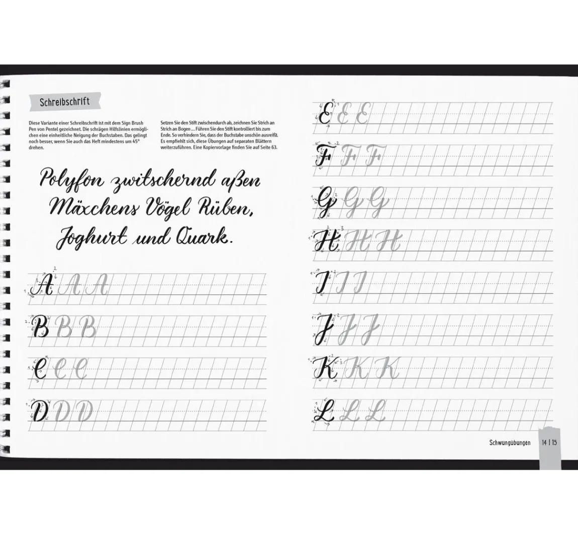 Best Topp Buch "Handlettering All you need. Das Übungsbuch"