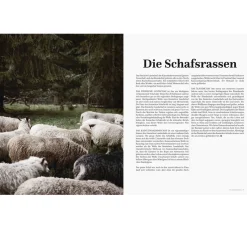 Online Stiebner Buch 