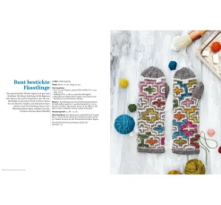 Online Stiebner Buch 