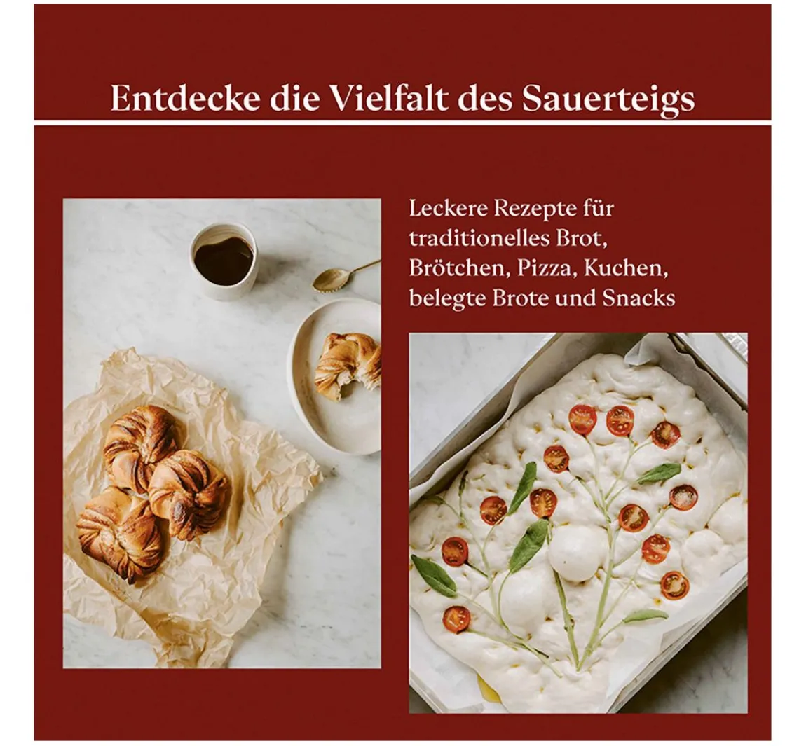 Busse-Seewald Buch "Skandinavisches Brot aus Sauerteig"