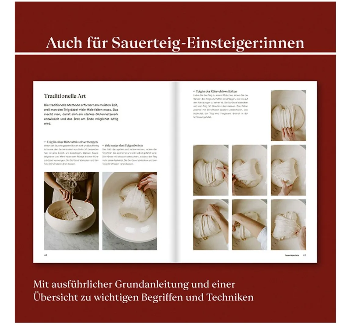 Busse-Seewald Buch "Skandinavisches Brot aus Sauerteig"