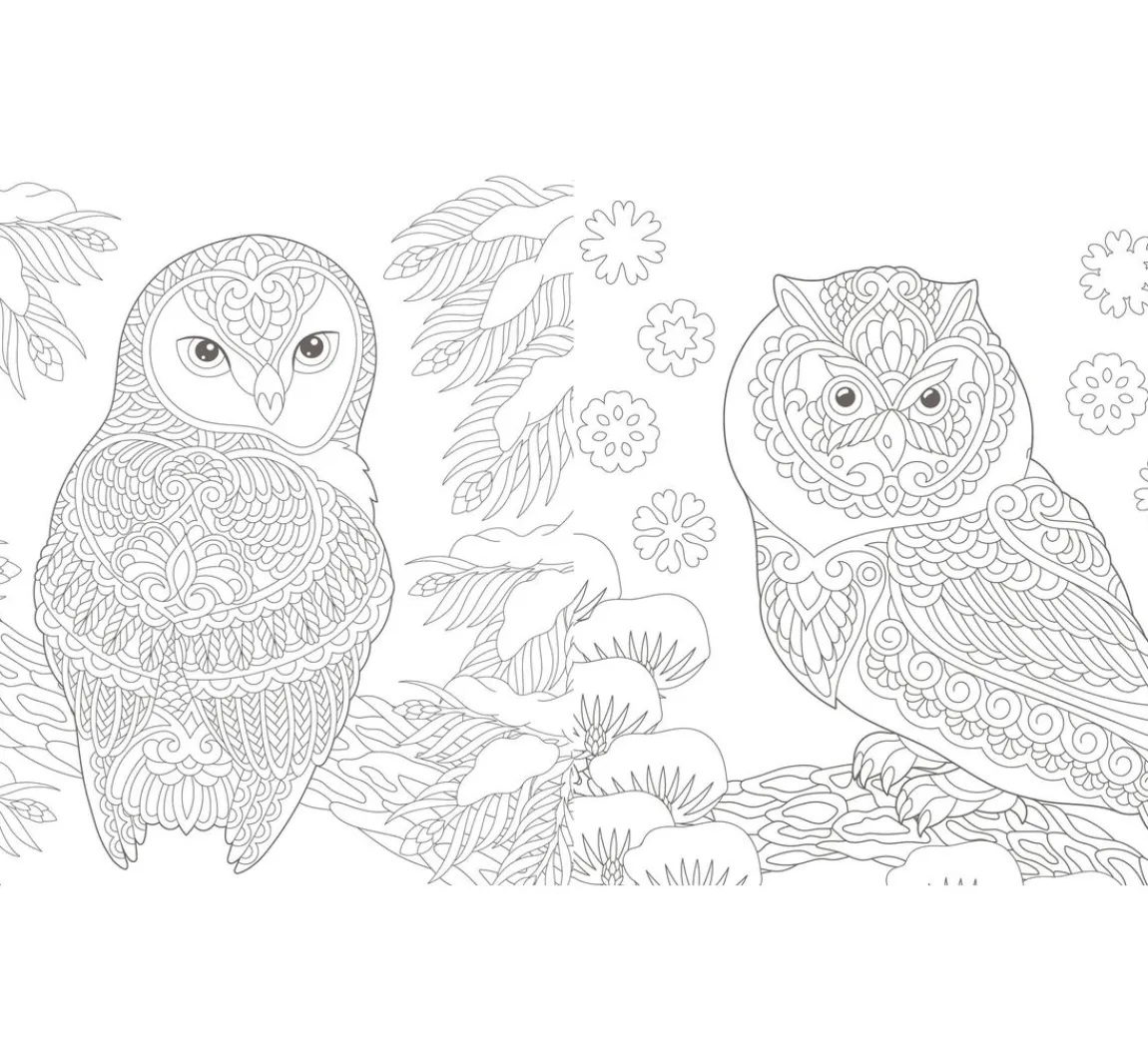 Hot EMF Buch "Winterliche Vogelwelt"