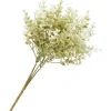Online ohne Marke Buchsbaum Zweig "Evergreen"