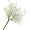 Discount DPI Calocephalus Pick