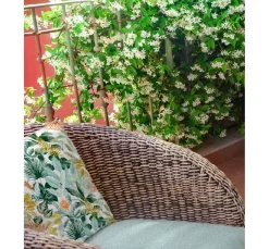 Clearance Globaltex Canvas-Stoff Outdoor