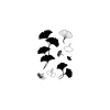 Best efco Clear Stamps "Ginkgo"