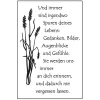 Clearance efco Clear Stamps "Spuren deines Lebens"
