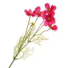Hot DPI Cosmea Zweig mit 5 Blüten