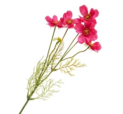 Hot DPI Cosmea Zweig mit 5 Blüten