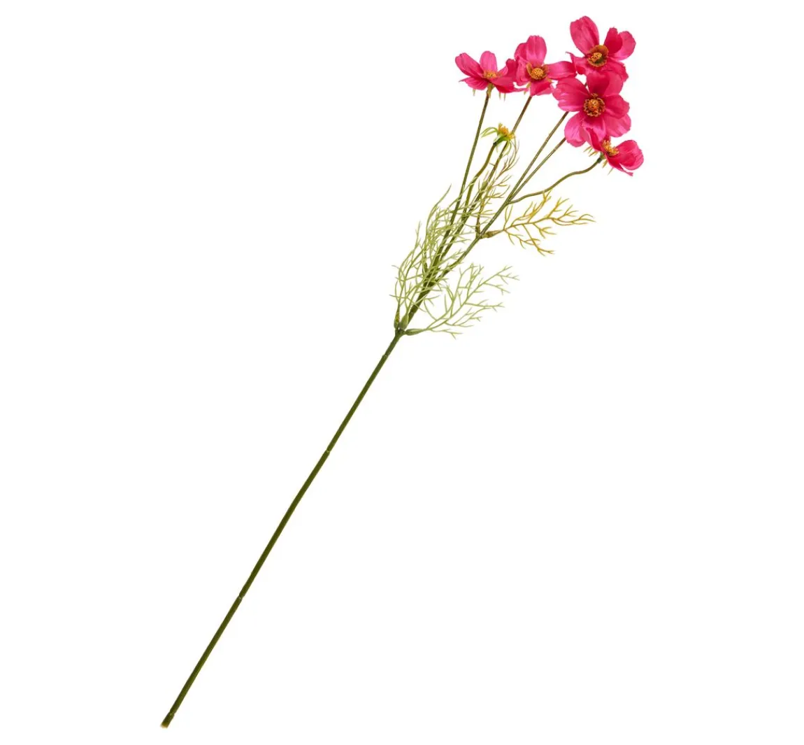 Hot DPI Cosmea Zweig mit 5 Blüten