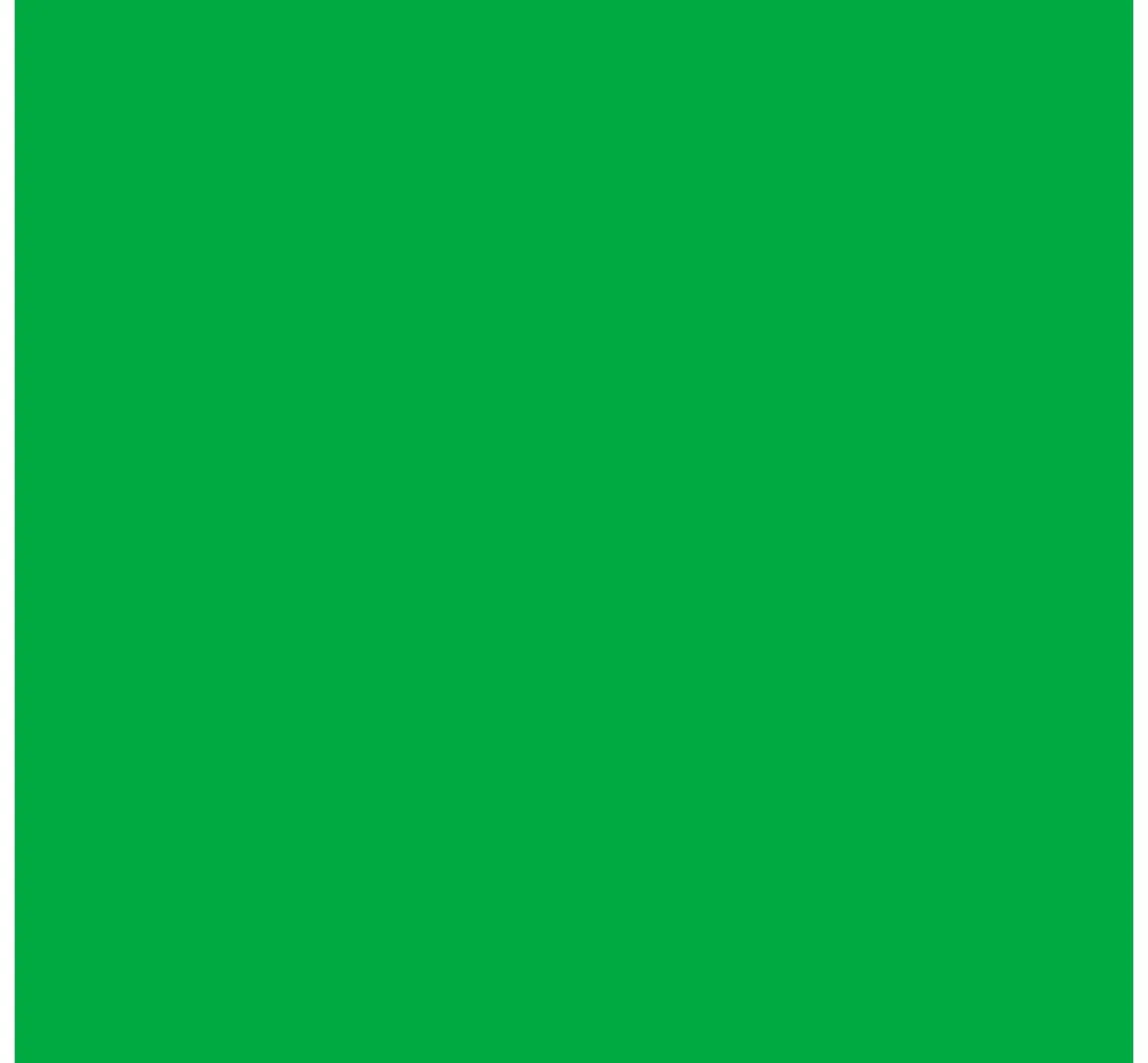 Discount Cricut Uni Transferbogen "Infusible Ink", 30,5 x 30,5 cm