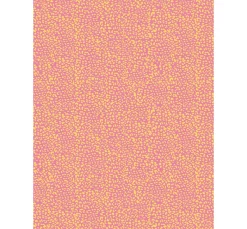 Best décopatch Pocket Hot-Foil Collection Mix and Patch