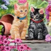 Outlet Craft Buddy Diamond Painting "Crystal Art Card"