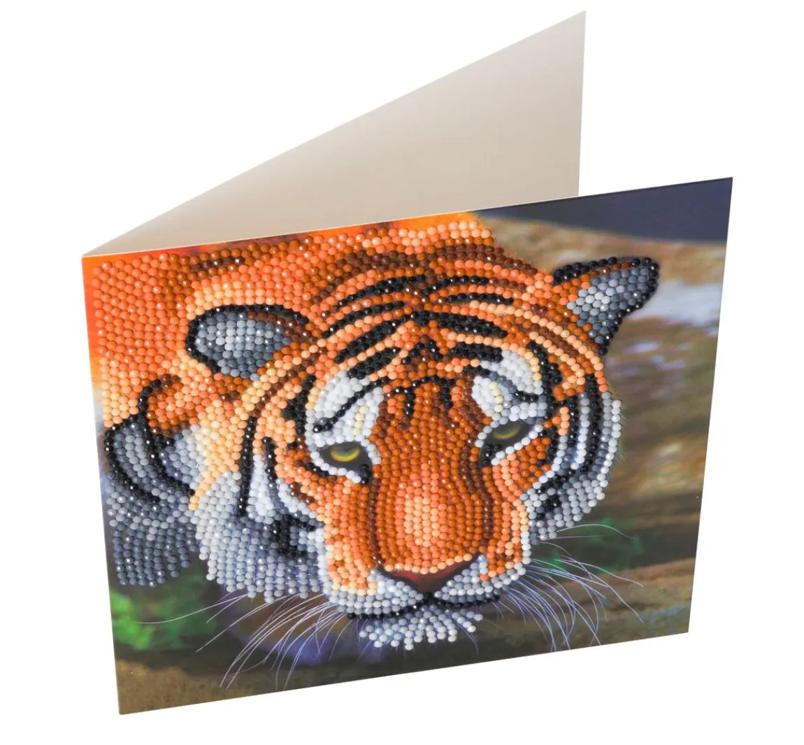 Outlet Craft Buddy Diamond Painting "Crystal Art Card"