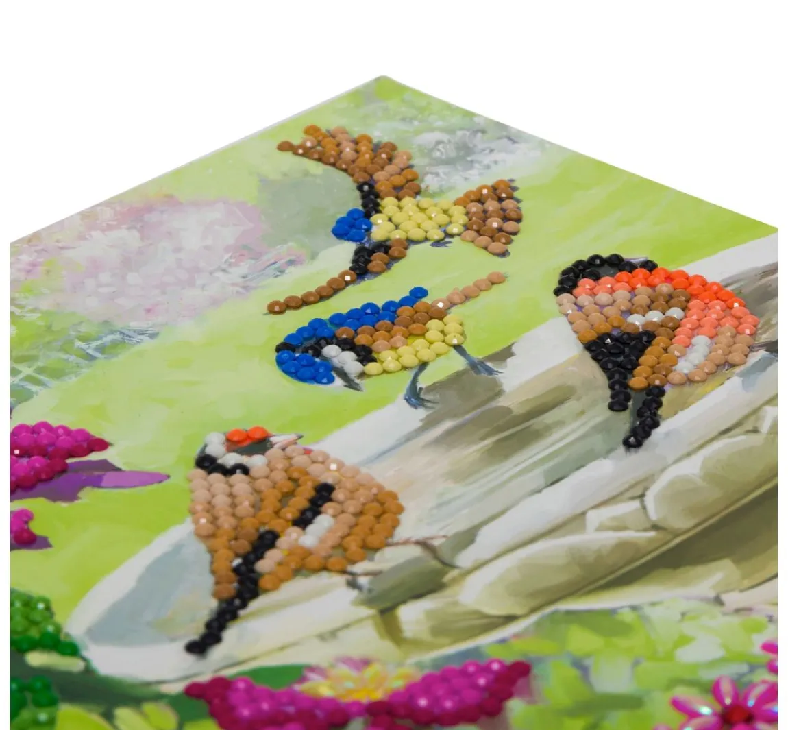 Outlet Craft Buddy Diamond Painting "Crystal Art Card"