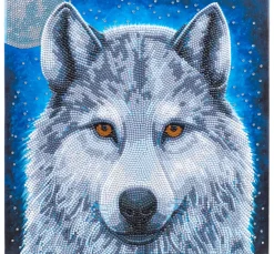 Outlet Craft Buddy Diamond Painting