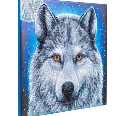 Outlet Craft Buddy Diamond Painting