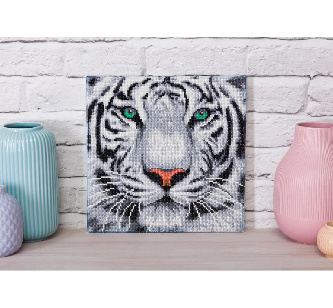 Outlet Craft Buddy Diamond Painting "Crystal Art Kit", 30 x 30 cm