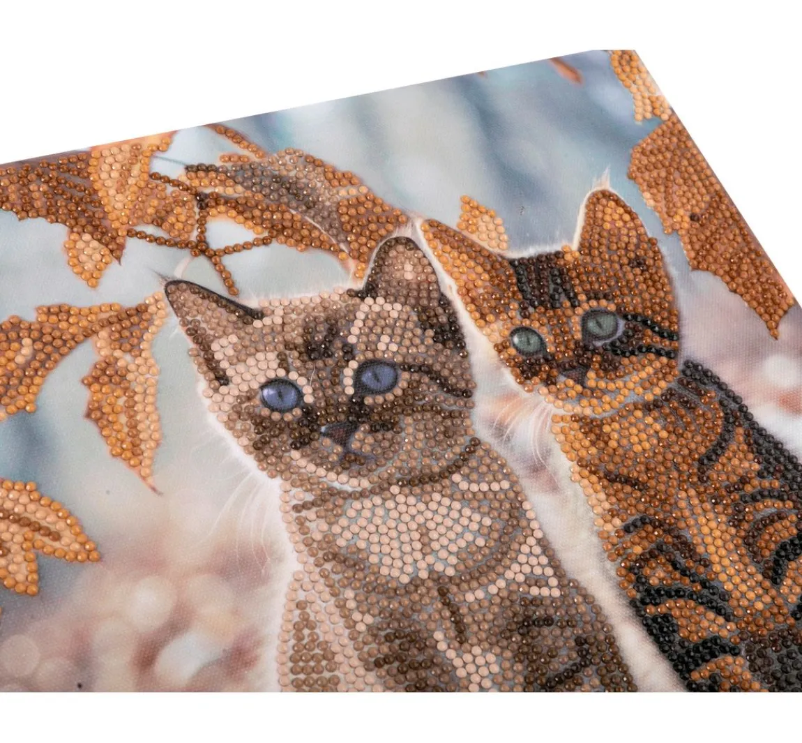 Outlet Craft Buddy Diamond Painting "Crystal Art Kit", 30 x 30 cm