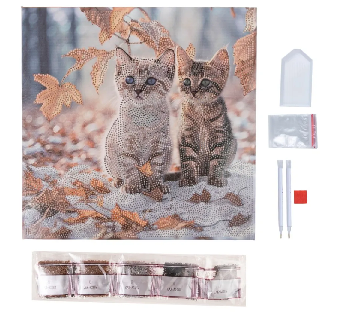 Outlet Craft Buddy Diamond Painting "Crystal Art Kit", 30 x 30 cm
