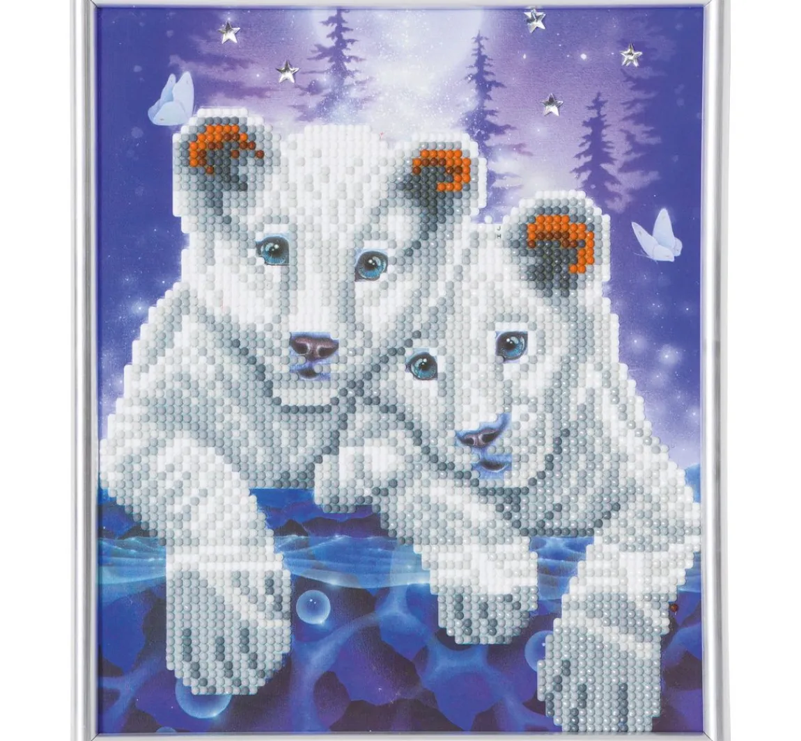 Discount Craft Buddy Diamond Painting "Picture Frame Crystal Art"