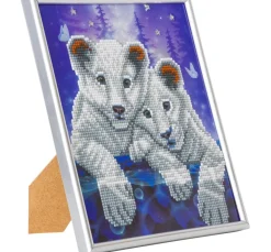Discount Craft Buddy Diamond Painting