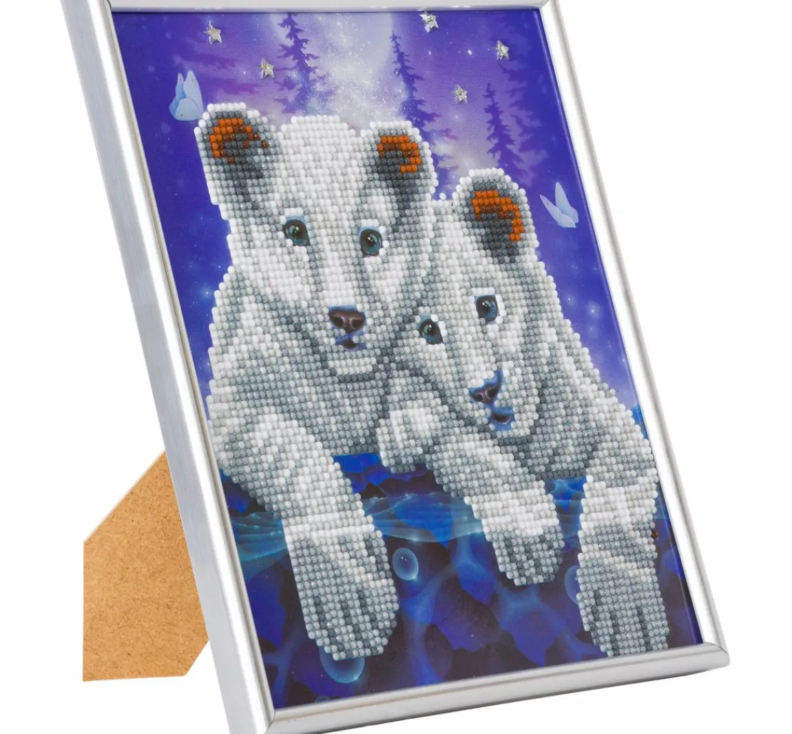 Discount Craft Buddy Diamond Painting "Picture Frame Crystal Art"