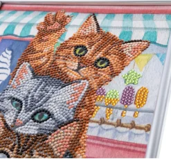 Discount Craft Buddy Diamond Painting